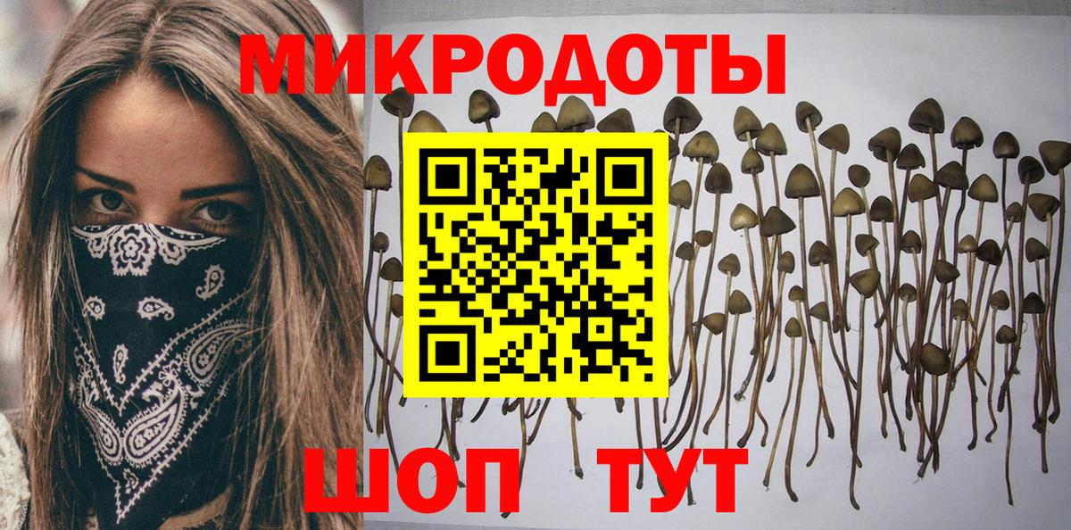 Галлюциногенные грибы Cubensis  Вход с VPN  Краснодар 