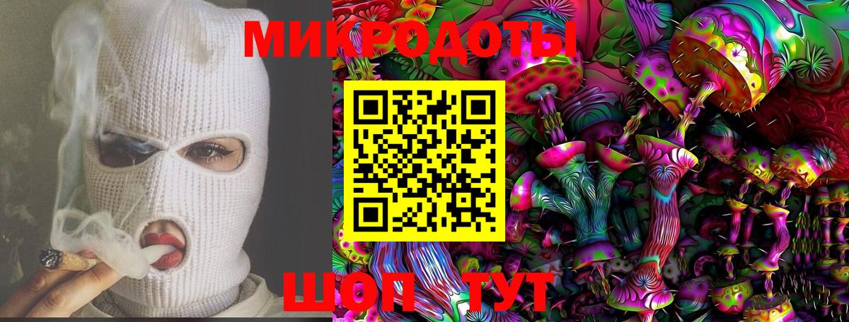 Галлюциногенные грибы Psilocybine cubensis Краснодар